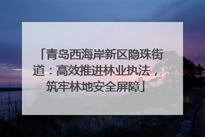 青岛西海岸新区隐珠街道：高效推进林业执法，筑牢林地安全屏障