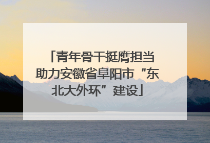 青年骨干挺膺担当 助力安徽省阜阳市“东北大外环”建设