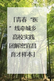 青春“医”线牵城乡 高校实践团解密宜昌育才样本
