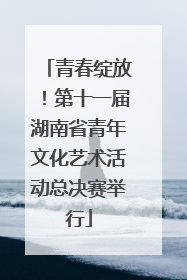 青春绽放！第十一届湖南省青年文化艺术活动总决赛举行