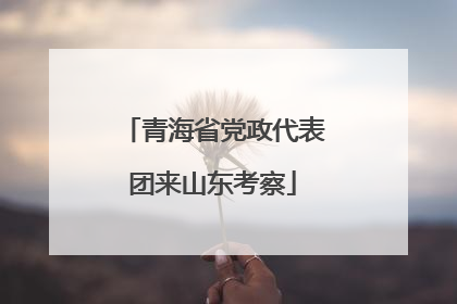 青海省党政代表团来山东考察