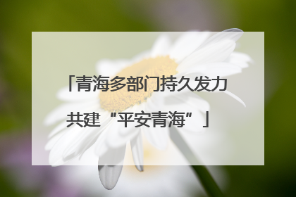 青海多部门持久发力共建“平安青海”