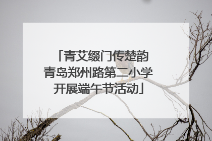 青艾缀门传楚韵 青岛郑州路第二小学开展端午节活动