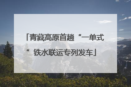 青藏高原首趟“一单式”铁水联运专列发车