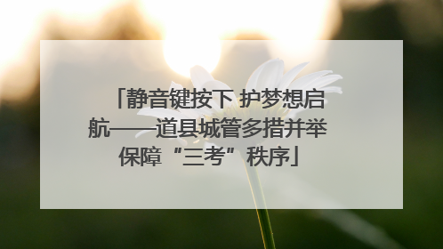 静音键按下 护梦想启航——道县城管多措并举保障“三考”秩序