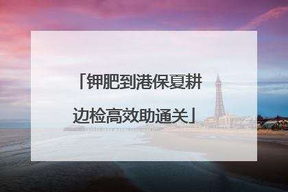 钾肥到港保夏耕 边检高效助通关