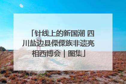 针线上的新国潮 四川盐边县傈僳族非遗亮相西博会｜图集