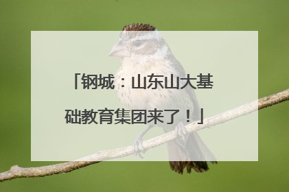 钢城：山东山大基础教育集团来了！