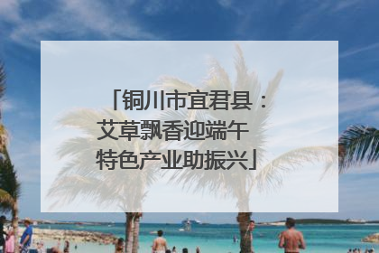 铜川市宜君县：艾草飘香迎端午 特色产业助振兴