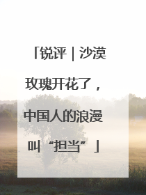 锐评｜沙漠玫瑰开花了，中国人的浪漫叫“担当”