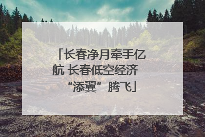 长春净月牵手亿航 长春低空经济“添翼”腾飞