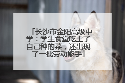 长沙市金阳高级中学：学生食堂吃上了自己种的菜，还出现了一批劳动能手