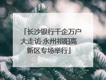 长沙银行千企万户大走访·永州祁阳高新区专场举行