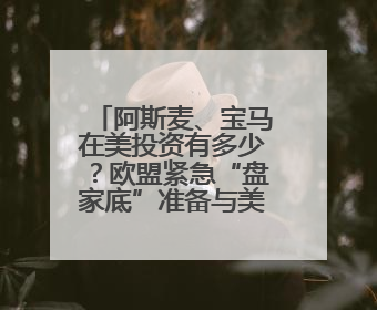 阿斯麦、宝马在美投资有多少？欧盟紧急“盘家底”准备与美谈判