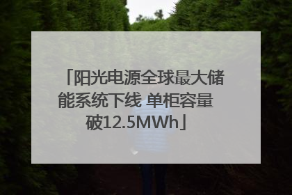 阳光电源全球最大储能系统下线 单柜容量破12.5MWh