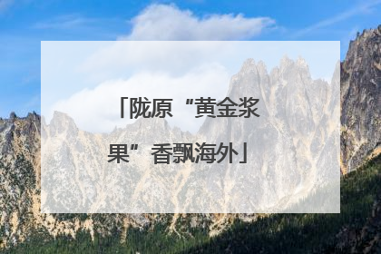 陇原“黄金浆果”香飘海外