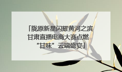 陇原新星闪耀黄河之滨 甘肃直播电商大赛点燃“甘味”云端盛宴