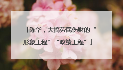 陈华，大搞劳民伤财的“形象工程”“政绩工程”