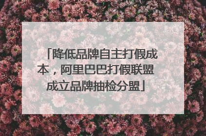 降低品牌自主打假成本，阿里巴巴打假联盟成立品牌抽检分盟