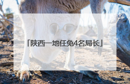 陕西一地任免4名局长