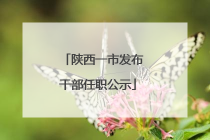 陕西一市发布干部任职公示
