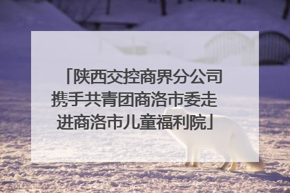 陕西交控商界分公司携手共青团商洛市委走进商洛市儿童福利院