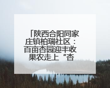 陕西合阳同家庄镇柏瑞社区：百亩杏园迎丰收 果农走上“杏”福路
