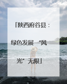 陕西府谷县：绿色发展 “风光”无限