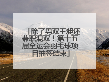 除了男双王昶还兼职混双！第十五届全运会羽毛球项目抽签结束