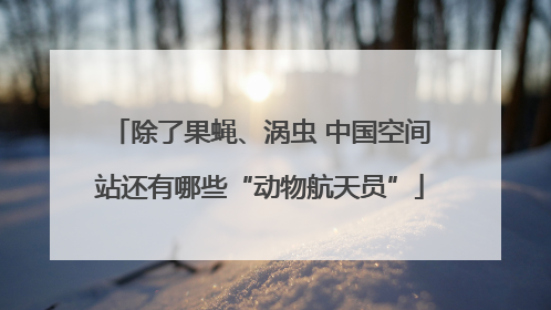 除了果蝇、涡虫 中国空间站还有哪些“动物航天员”