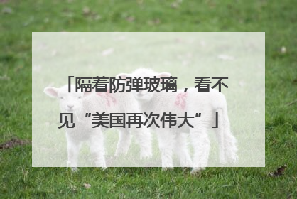 隔着防弹玻璃，看不见“美国再次伟大”