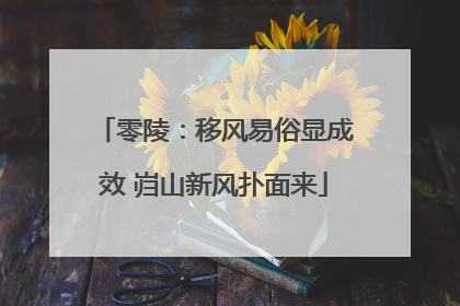 零陵：移风易俗显成效 岿山新风扑面来