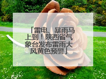 雷电、暴雨马上到！陕西省气象台发布雷雨大风黄色预警