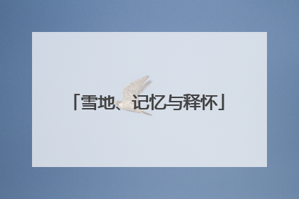 雪地、记忆与释怀