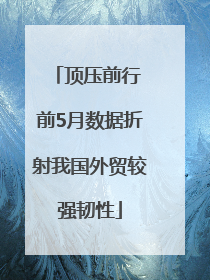 顶压前行 前5月数据折射我国外贸较强韧性