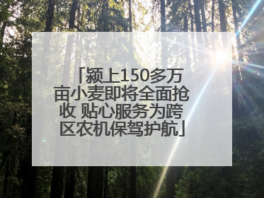 颍上150多万亩小麦即将全面抢收 贴心服务为跨区农机保驾护航
