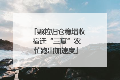 颗粒归仓稳增收 宿迁“三夏”农忙跑出加速度