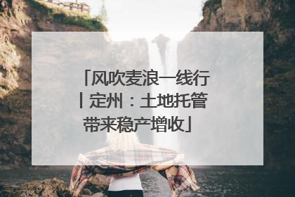 风吹麦浪一线行丨定州：土地托管带来稳产增收