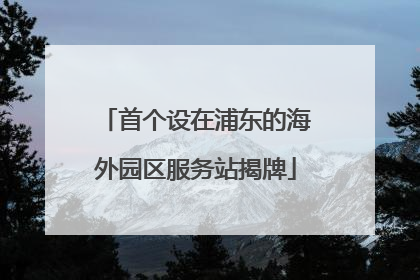 首个设在浦东的海外园区服务站揭牌