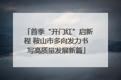 首季“开门红”启新程 鞍山市多向发力书写高质量发展新篇