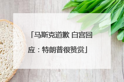 马斯克道歉 白宫回应：特朗普很赞赏
