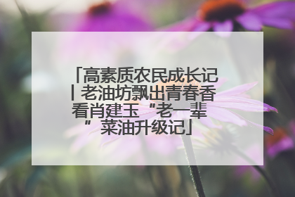高素质农民成长记丨老油坊飘出青春香 看肖建玉“老一辈”菜油升级记