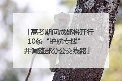 高考期间成都将开行10条“护航专线” 并调整部分公交线路