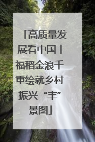 高质量发展看中国丨福稻金浪千重绘就乡村振兴“丰”景图