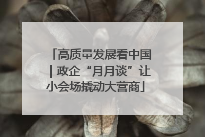 高质量发展看中国｜政企“月月谈”让小会场撬动大营商