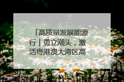 高质量发展能源行｜勇立潮头，激活粤港澳大湾区高质量发展动力源