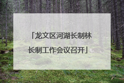 龙文区河湖长制林长制工作会议召开