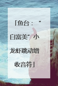 鱼台：“白富美”小龙虾跳动增收音符