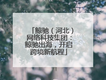 鲸驰（河北）网络科技集团：鲸驰出海，开启跨境新航程