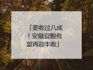 麦收过八成！安徽夏粮有望再迎丰收